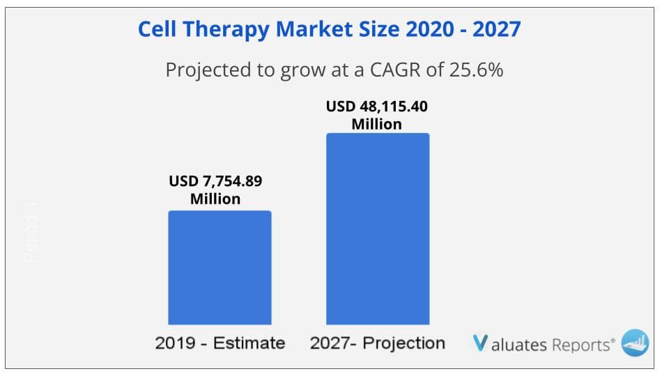 Cell therapy market size